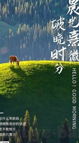 足球竞彩足球比分-探秘足球竞彩，解锁足球比分背后的魅力与逻辑